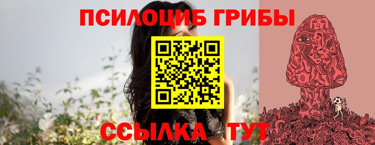 Галлюциногенные грибы MAGIC MUSHROOMS  Вход с VPN  Бердск 